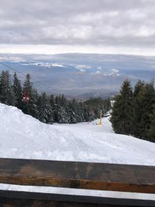 een met sneeuw bedekte helling met bomen en een skilift bij Parâng View in Petroşani