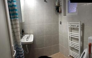 een kleine badkamer met een wastafel en een douche bij Parâng View in Petroşani