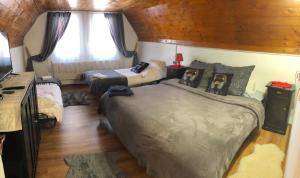 een slaapkamer met 2 bedden in een kamer met een raam bij Parâng View in Petroşani