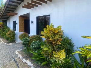 Zahrada ubytování Bonzu Homestay