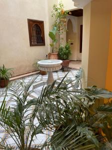 a courtyard with potted plants and a table in a building at Riad Amalia in Marrakech