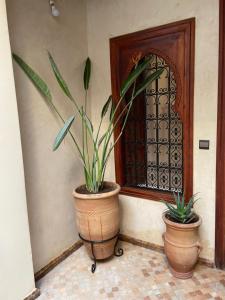 two potted plants sitting in front of a door at Riad Amalia in Marrakech