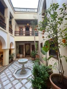 an indoor courtyard with a fountain and plants at Riad Amalia in Marrakech