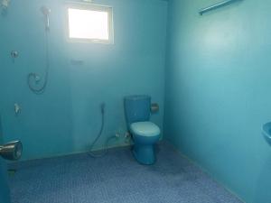 een badkamer met een blauw toilet en een wastafel bij Vijay Thulasi Beach View in Nilaveli