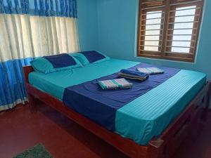 een bed met twee kussens in een slaapkamer bij Vijay Thulasi Beach View in Nilaveli