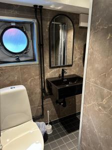 a bathroom with a toilet and a sink and a mirror at Den Röda Båten in Stockholm