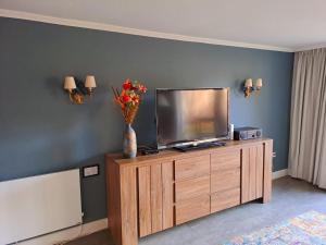 a television on a wooden cabinet with a vase of flowers at Villa SKYLO in Winterberg