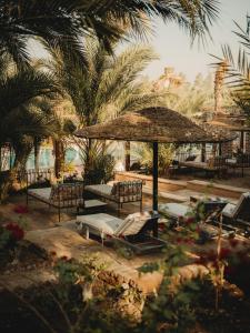 Zahrada ubytování Al Moudira Hotel
