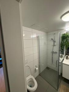 een badkamer met een douche, een toilet en een wastafel bij Amazing apartment by Opera house in Oslo