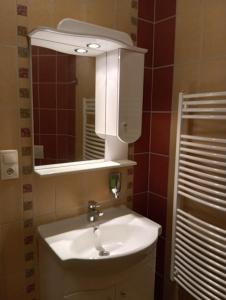 a bathroom with a white sink and a mirror at Patak-Party Apartmanok in Bogács