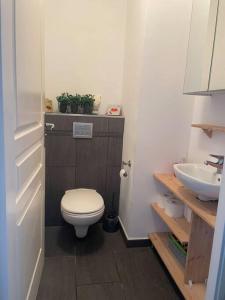 a small bathroom with a toilet and a sink at Magnifique 2 pièces Juan Les Pins in Antibes