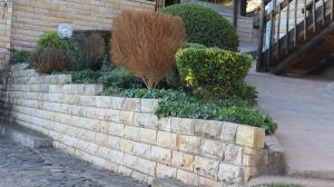 a stone retaining wall with bushes and plants at Monokotsoaing Guest House in Leribe