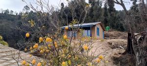 a small house on a hill with orange trees at Idyllic Haven Heritage, Jageshwar in Jageshwar