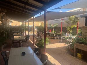 eine leere Terrasse mit Tischen, Stühlen und Pflanzen in der Unterkunft Albion Hotel in Kalgoorlie