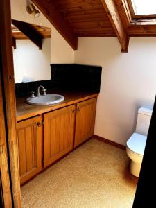 ein Bad mit einem Waschbecken und einem WC in der Unterkunft Kappering Retreat in Portland