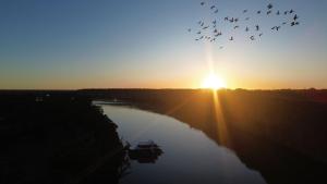 un troupeau d’oiseaux survolant une rivière au coucher du soleil dans l'établissement Wow Houseboats Pty Ltd, à White Sands