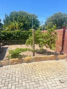 a fence with a tree in the middle of a sidewalk at triple S guest house in Cape Town