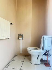 a bathroom with a white toilet in a room at triple S guest house in Cape Town