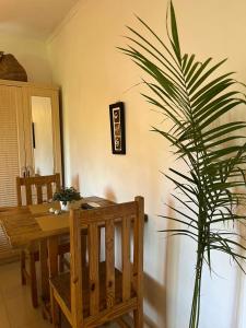 a dining room with a wooden table and a plant at African Treasure Beach Resort in Kokrobite