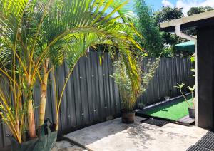 a privacy fence with palm trees in a backyard at Suva City Accommodation in Suva