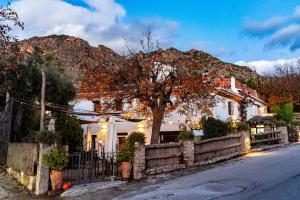 a house with a tree on the side of a street at Hotel Rural Alqueria de los lentos in Nigüelas