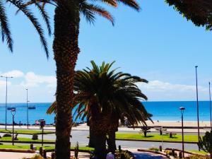 duas palmeiras numa praia com o oceano ao fundo em Brisa Del Mar Fuerteventura em Puerto del Rosario