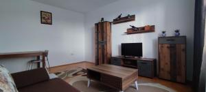 a living room with a couch and a table with a tv at Apartament ultracentral - două camere in Baia Mare