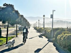 a man riding a bike down a sidewalk with a dog at Holibai, Apt Mencer, Playa América Al Lado Del Mar in Nigrán