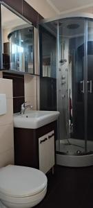 a bathroom with a toilet and a sink and a shower at Apartament ultracentral - două camere in Baia Mare