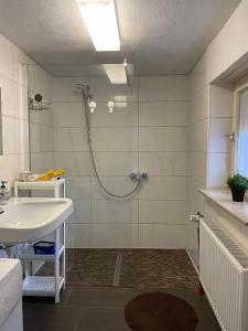 a bathroom with a shower and a sink at Ferienwohnung im Besigheim in Besigheim