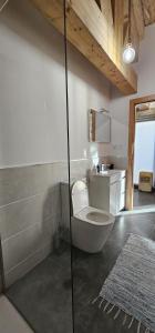 a bathroom with a toilet and a sink at Casa do Rio - AL in Valença