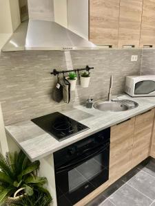 a kitchen with a sink and a microwave at Studi'o Lubéron in Cavaillon