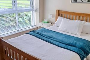 倫敦的住宿－London Docklands RiverSide Apartment，一间卧室配有一张带蓝色毯子的床和窗户。