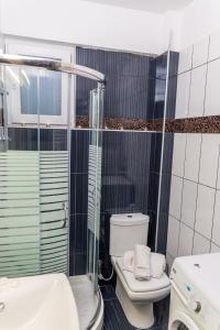 イラクリトサにあるAmmos Luxury Villas - Villa IIIのバスルーム(トイレ、ガラス張りのシャワー付)