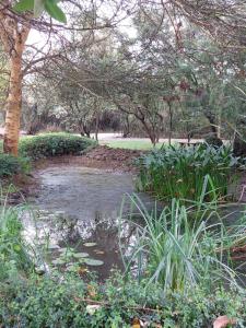 un petit étang dans un parc avec des arbres et de l'herbe dans l'établissement Great Rift Valley Lodge and Golf Resort, à Naivasha