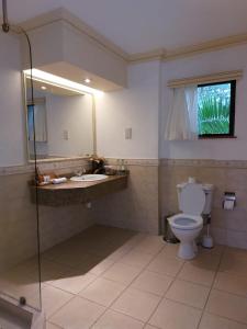 La salle de bains est pourvue de toilettes, d'un lavabo et d'un miroir. dans l'établissement Great Rift Valley Lodge and Golf Resort, à Naivasha