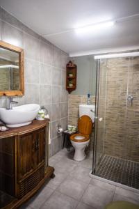 La salle de bains est pourvue de toilettes, d'un lavabo et d'une douche. dans l'établissement Clifford Selfcatering Guesthouse, à Barkly East