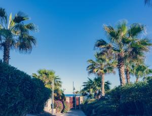 Vonkajšia záhrada v ubytovaní Apartamento Premium con Jacuzzi y vistas al mar en Punta Prima, Torrevieja by Rentalole