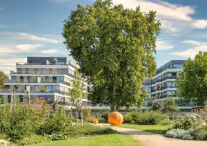 una calabaza naranja sentada en un jardín frente a un edificio en Residenz am Zwinger en Dresden