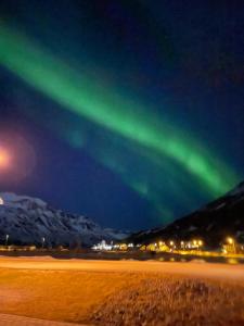 une image des lumières du nord dans le ciel dans l'établissement Lónsleira Apartments, à Seyðisfjörður