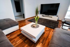 a living room with a couch and a tv at Coldweek apartment - Samorin near X-bionic sphere in Šamorín