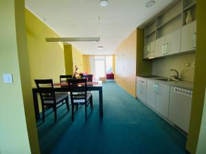 Η κουζίνα ή μικρή κουζίνα στο Hotel Veter