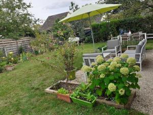 Saint-Florent-sur-Cher的住宿－Les Oiseaux chambre d'hôtes，花园设有椅子和植物以及雨伞
