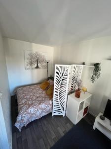 a bedroom with a bed and a book shelf at Le Jaude Centre studio in Clermont-Ferrand