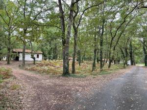 un chemin de terre avec des arbres et une maison en arrière-plan dans l'établissement CAP VILLAGE, à Barbaste