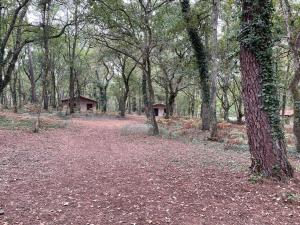 una zona boscosa con dos pequeños refugios a lo lejos en CAP VILLAGE, en Barbaste