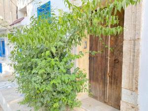una puerta de madera en el lateral de un edificio en Dar Zahra - Sidi Bou Said, en Douar el Hafey