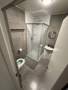 a bathroom with a shower and a toilet and a sink at Central Dublin Apartment in Dublin