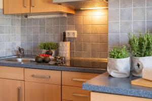 a kitchen with a sink and some plants on the counter at Antares Spiekerooger Gästehaus-Sonnengartenterrasse West - Wohnung 8 in Spiekeroog +8 photos