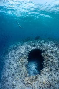 una persona nadando sobre un arrecife con un agujero en el océano en Amilla Maldives, en Finolhus